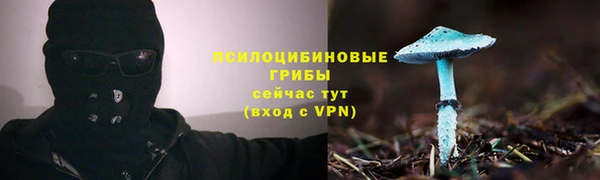 дмт Беломорск